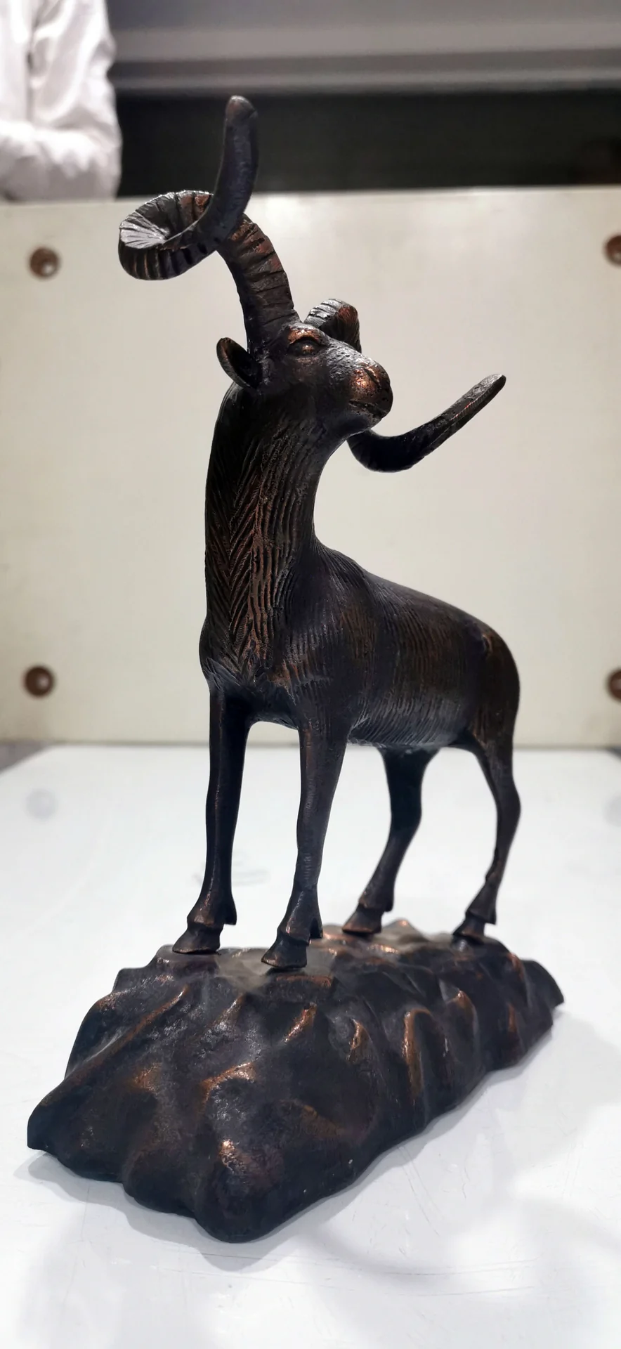 Antelope Display Model