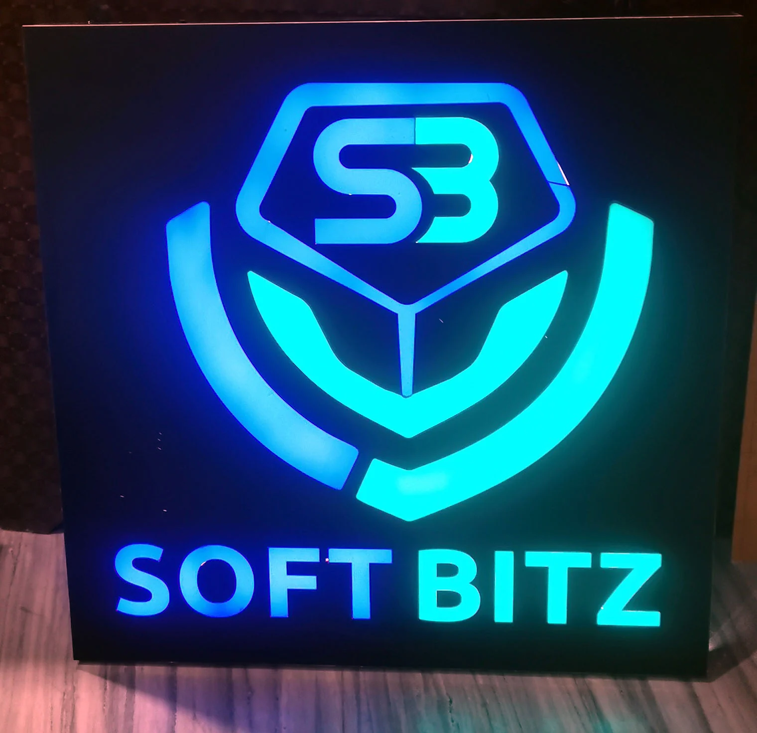 Soft Bitz LED Logo