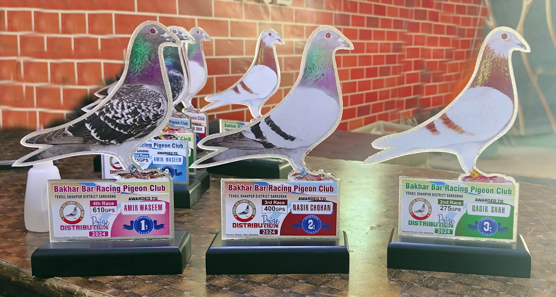 Pigeon Racing Acrylic Awards