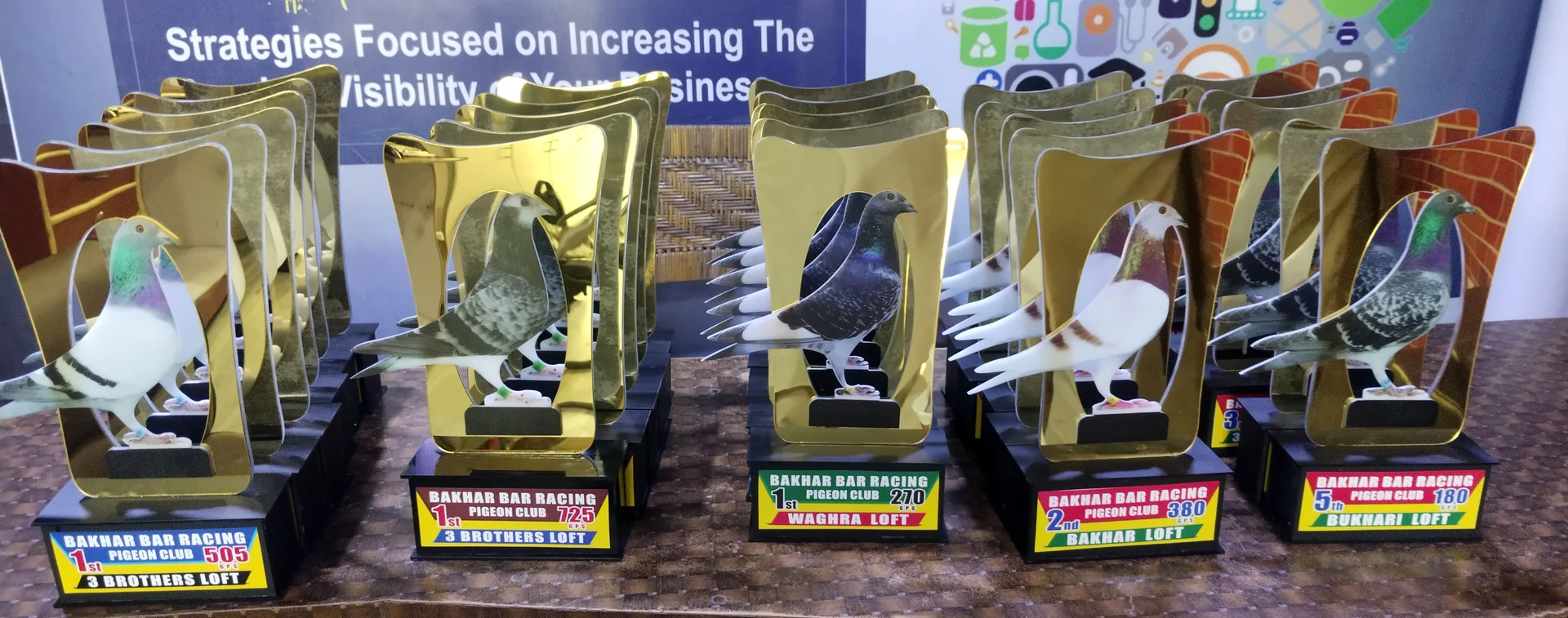Acrylic Pigeon Trophy Collection