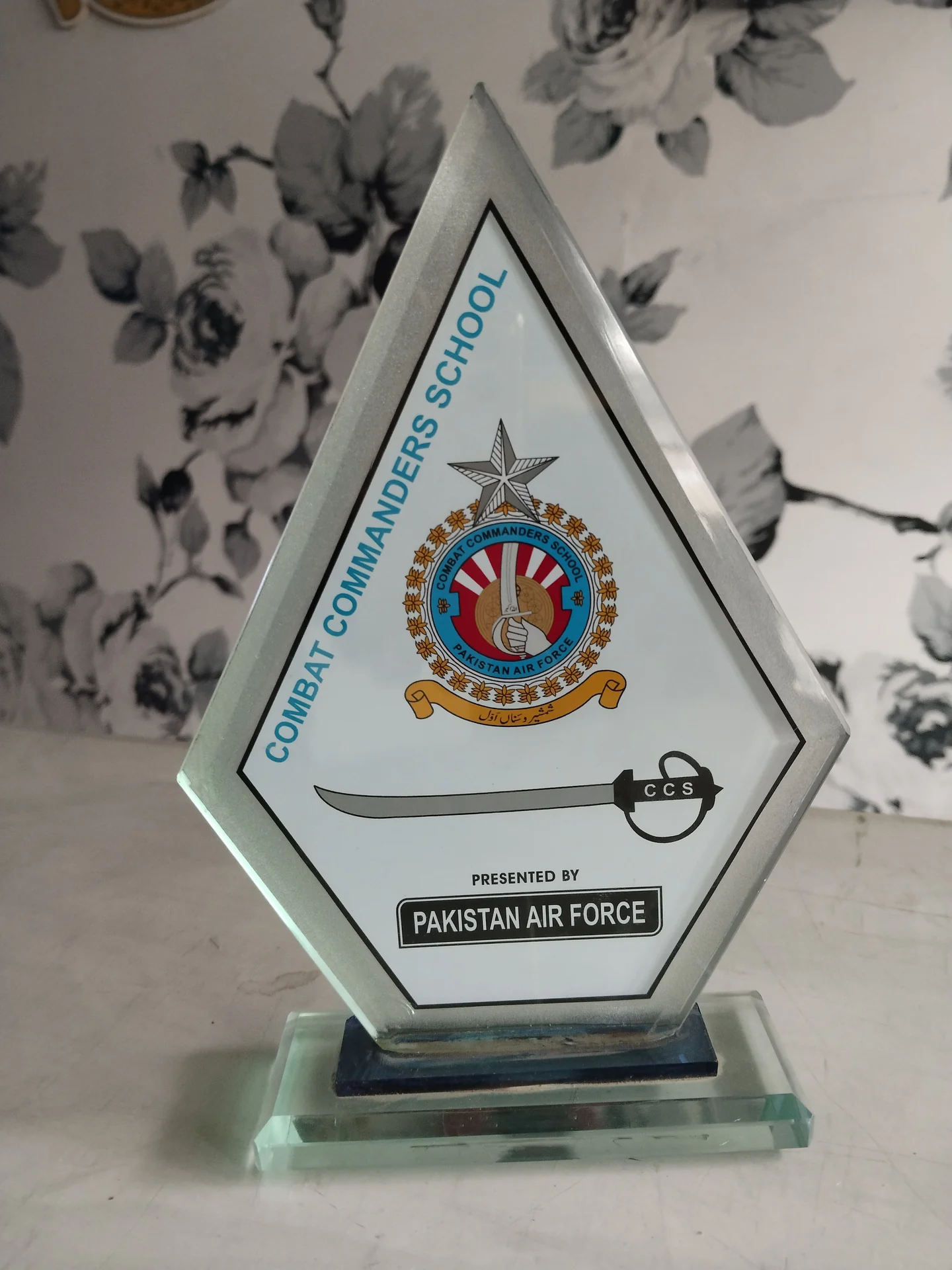 Air Force Glass Shield